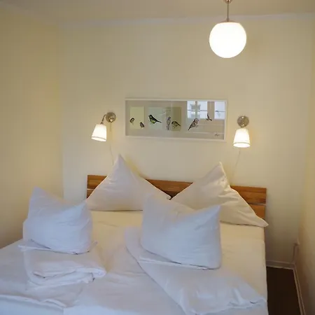 City Apartement *